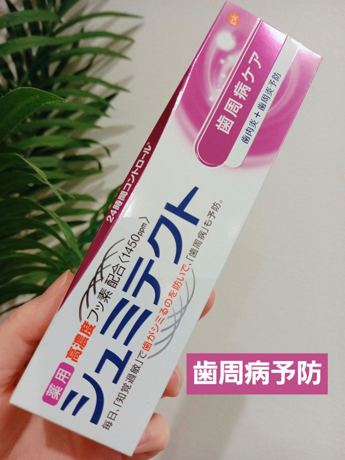 薬用シュミテクト 歯周病ケア 90g/シュミテクト/歯磨き粉を使ったクチコミ（1枚目）