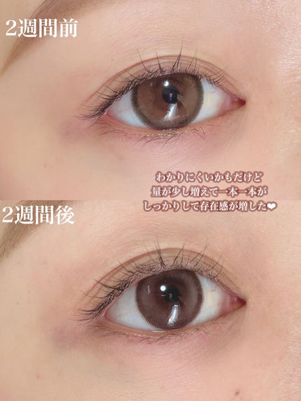 を使ったクチコミ(3枚目)