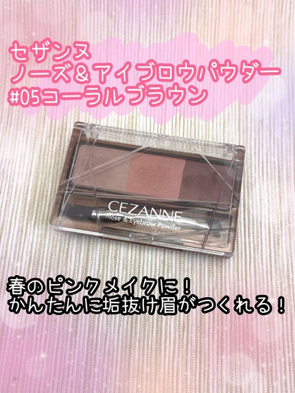 ノーズ&アイブロウパウダー/CEZANNE/パウダーアイブロウを使ったクチコミ(1枚目)