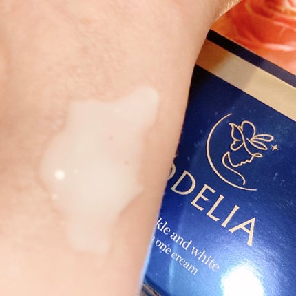 リンクル&ホワイト オールインワンクリーム/ODELIA/オールインワン化粧品を使ったクチコミ(5枚目)