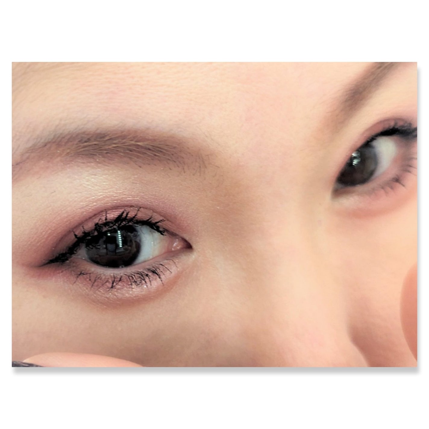 銀河系アイシャドウパレット/Ready to Shine/アイシャドウパレットを使ったクチコミ(2枚目)