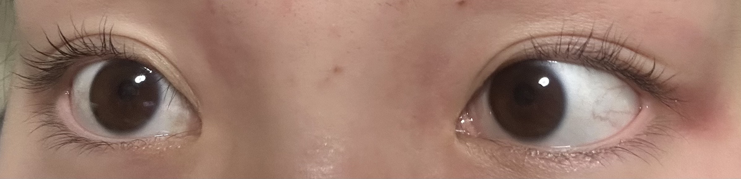 低刺激セルフまつげパーマ9種セット/EYE2IN/その他キットセットを使ったクチコミ（3枚目）