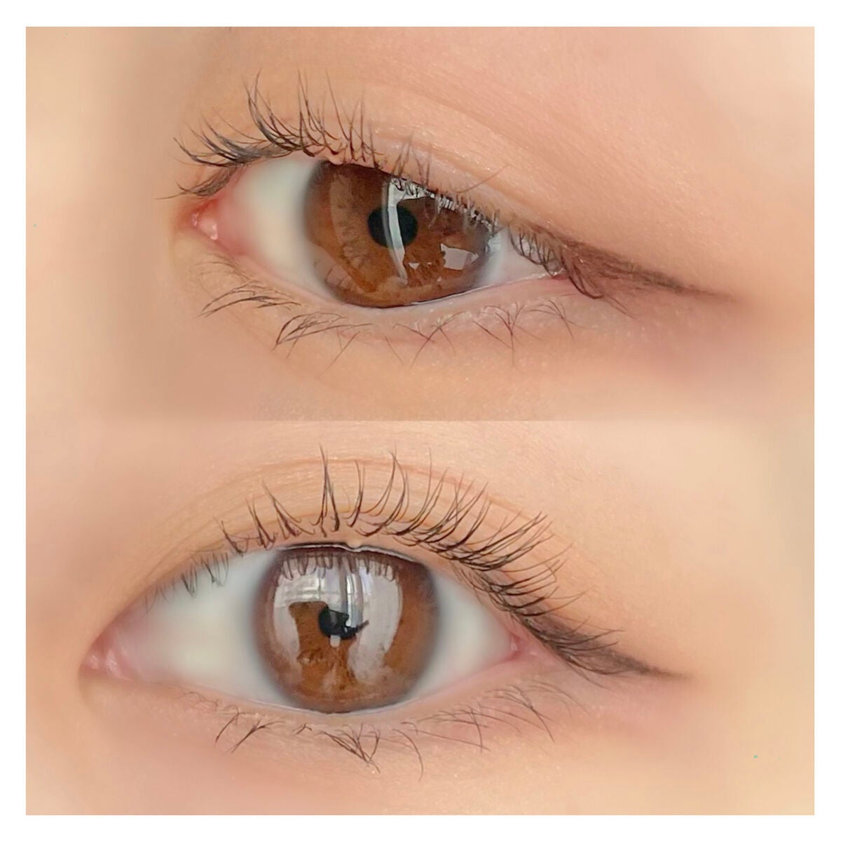 ラッシュニスタ プライマー/MAYBELLINE NEW YORK/マスカラ下地を使ったクチコミ(2枚目)