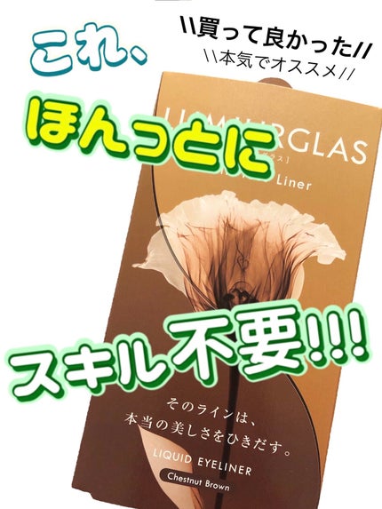 スキルレスライナー/LUMIURGLAS/リキッドアイライナーを使ったクチコミ(1枚目)