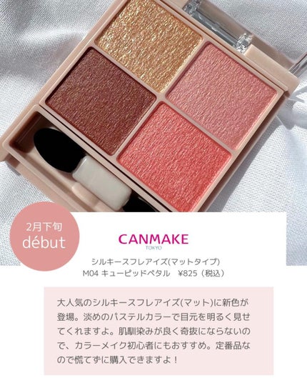 シルキースフレアイズ(マットタイプ)/キャンメイク/アイシャドウパレットを使ったクチコミ(2枚目)