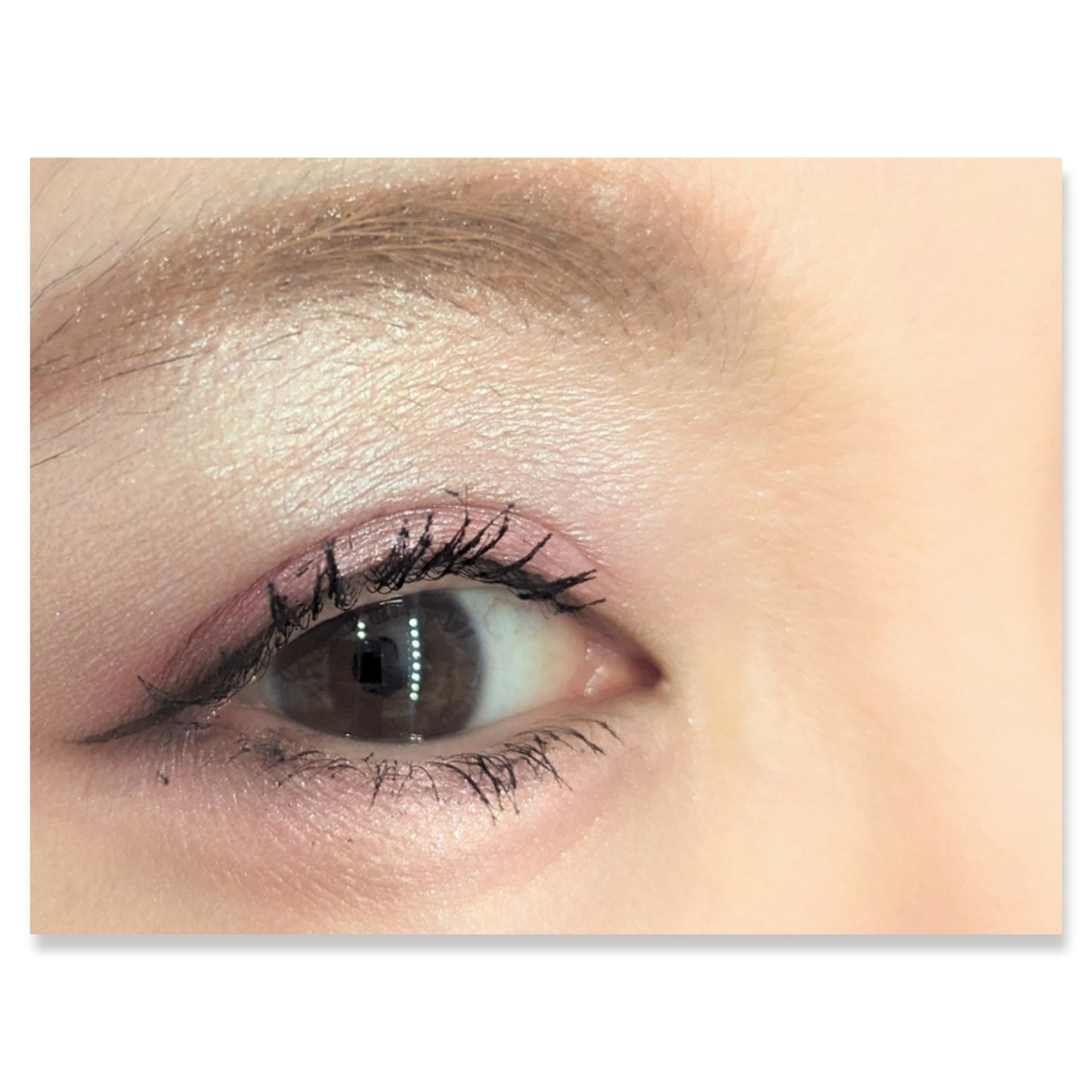 ワンダー エバー アイシャドウ 002　アイシーラベンダー/リンメル ロンドン/アイシャドウパレットを使ったクチコミ（2枚目）