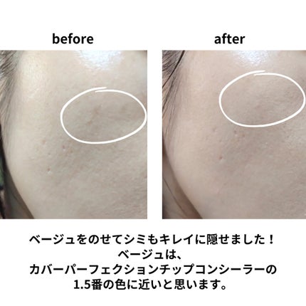 カバーパーフェクション トリプル ポット コンシーラー/the SAEM/パレットコンシーラーを使ったクチコミ(5枚目)