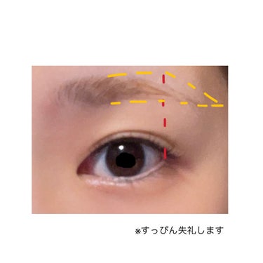 U R GLAM UR GLAM　EYEBROW POWDERのクチコミ「こんにちは！
今回は私の眉毛の書き方についてです|:-)


私の眉毛はかたくて元がしっかりし.....」（3枚目）