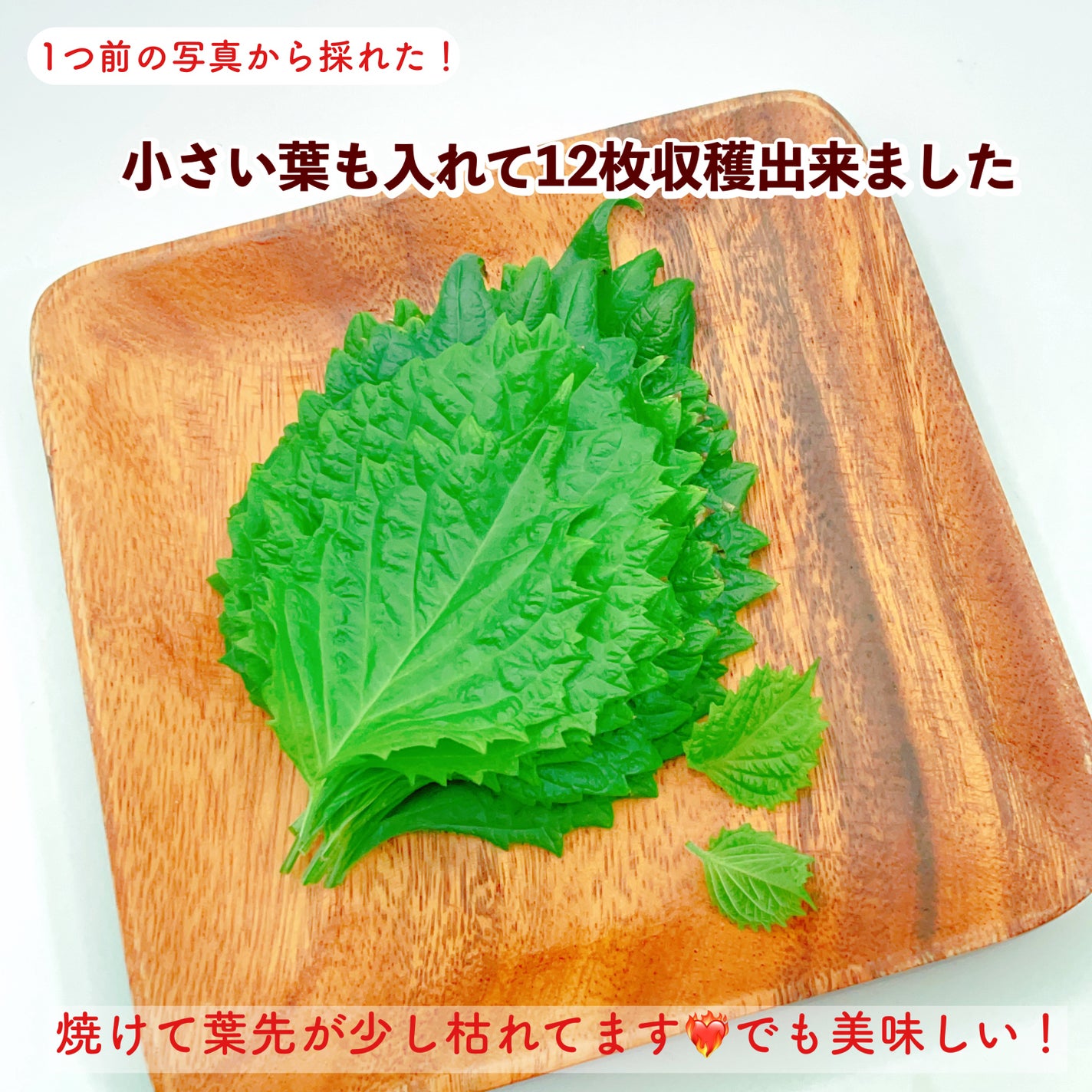 ããã ðâ*ð§· on LIPS ãã倧èã倧奜ãðãå¹èœè¯ãã§ãïŒè²ãŠãŠã¿ãããããããšã«ð®æ¯æ¥..ãïŒ3æç®ïŒ