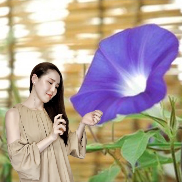 リ フレクト モーニンググローリー オードパルファム/ヴァシリーサ/香水(レディース)を使ったクチコミ（3枚目）