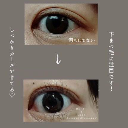 くうたろ on LIPS 「SHEIN購入品/かなりくるんってするビューラー見つけた🤫50..」(5枚目)