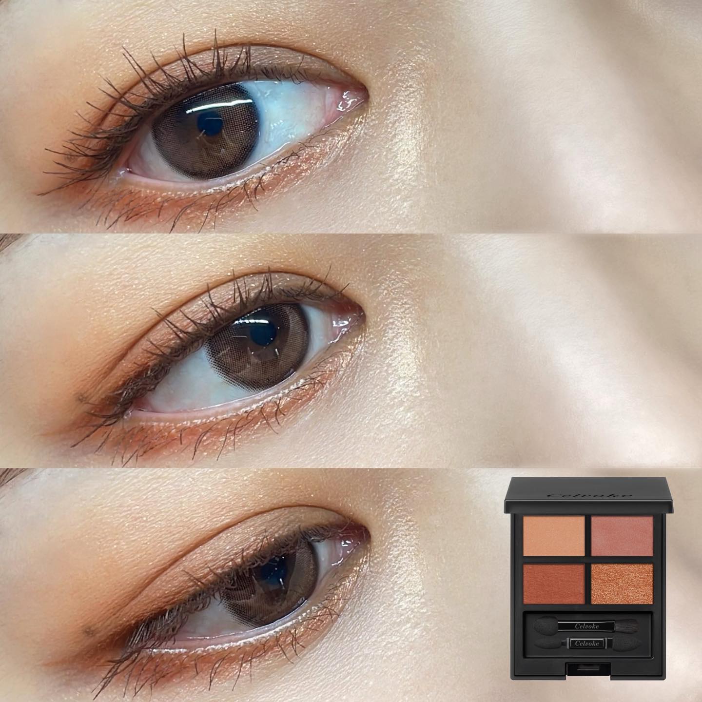 セルヴォーク ヴァティック アイパレット/Celvoke/アイシャドウパレットを使ったクチコミ（1枚目）