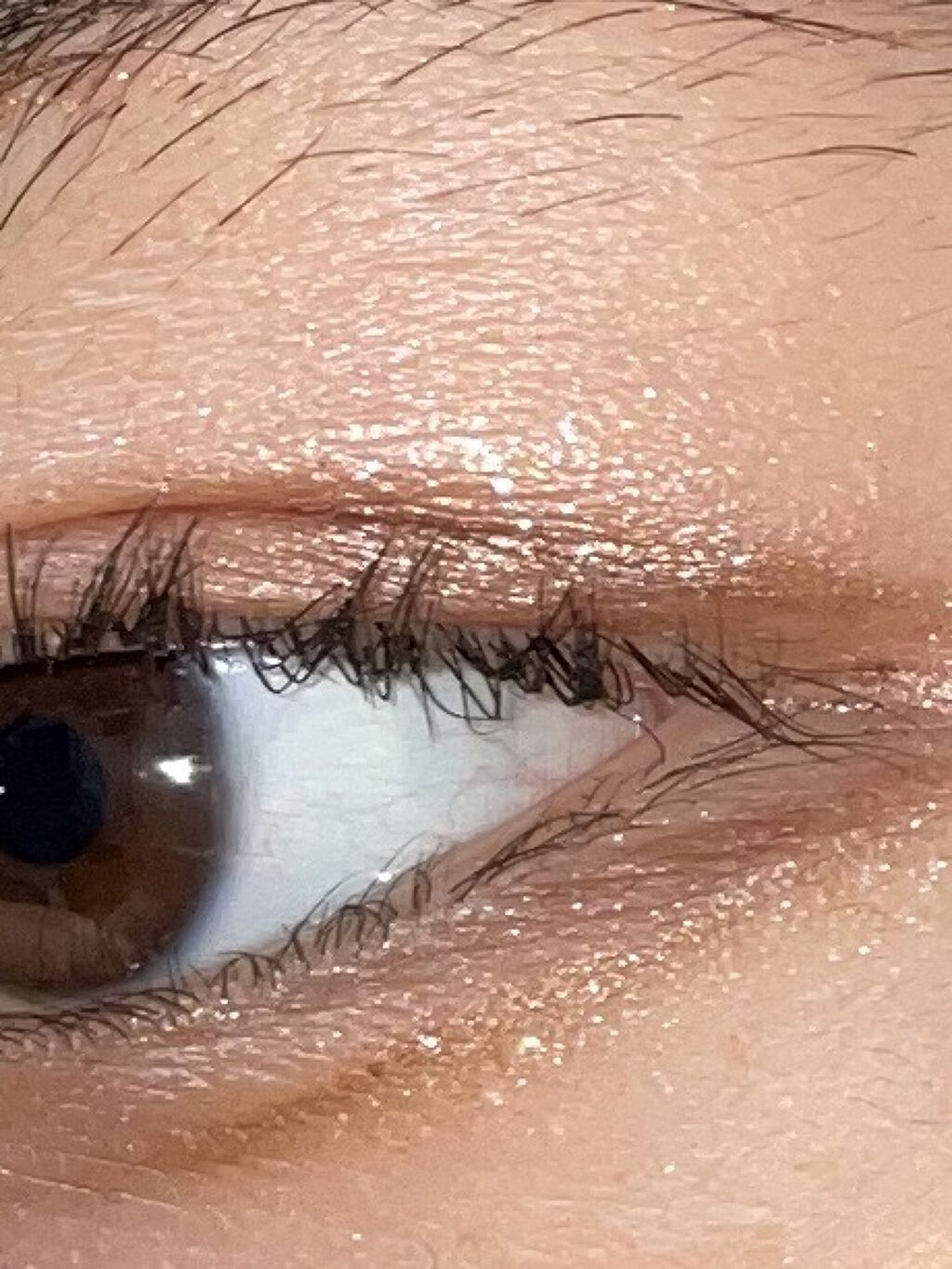 トーンアップアイシャドウ/CEZANNE/アイシャドウパレットを使ったクチコミ（1枚目）