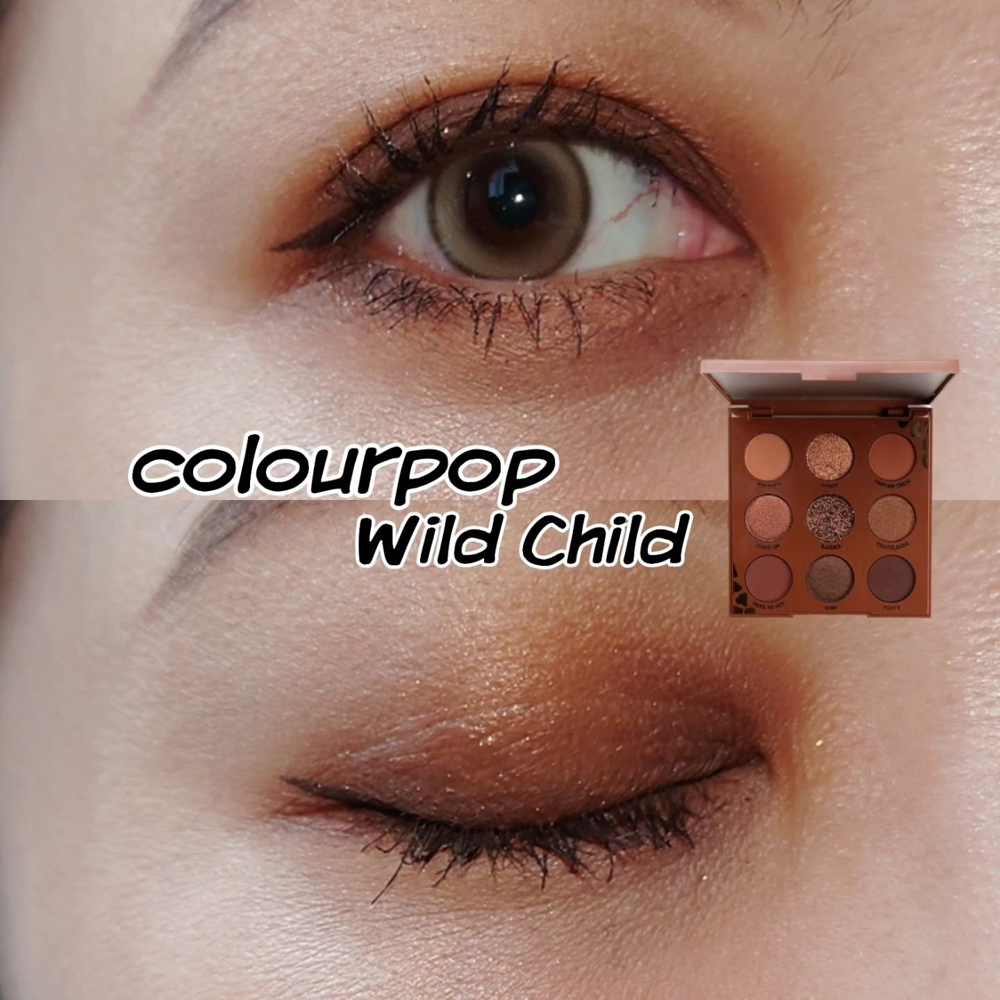 ワイルドチャイルド/ColourPop/アイシャドウパレットを使ったクチコミ（1枚目）