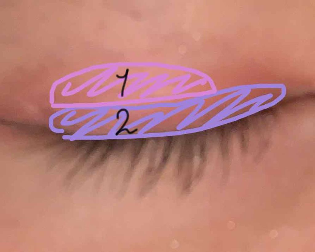 クイックラッシュカーラー/キャンメイク/マスカラ下地を使ったクチコミ（3枚目）