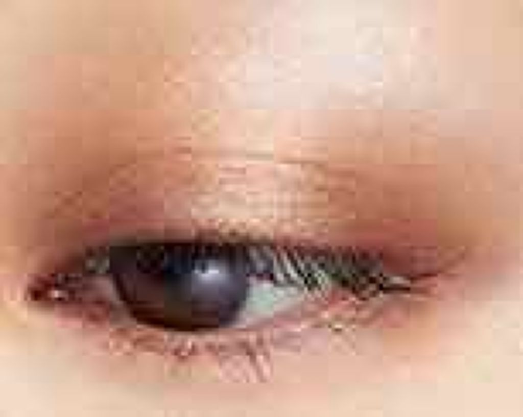 マジョルック(イルミネーター)/MAJOLICA MAJORCA/アイシャドウパレットを使ったクチコミ(2枚目)