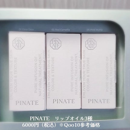 ナチュラルブルームリップオイルセラム 3色セット/PINATE/リップグロスを使ったクチコミ(3枚目)
