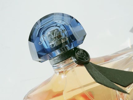 シャリマー ミレジム イリス/GUERLAIN/香水(その他)を使ったクチコミ(3枚目)