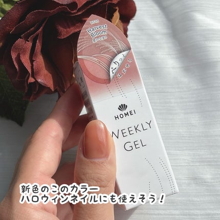 HOMEI ウィークリージェル WF48 ハーベストブルーム(Harvest Bloom)/HOMEI/ジェルネイルの画像