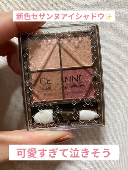 ニュアンスオンアイシャドウ/CEZANNE/アイシャドウパレットを使ったクチコミ(1枚目)