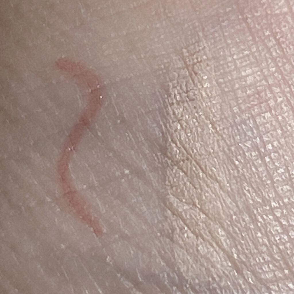 3wayスリムアイルージュライナー/キャンメイク/リキッドアイライナーを使ったクチコミ（2枚目）