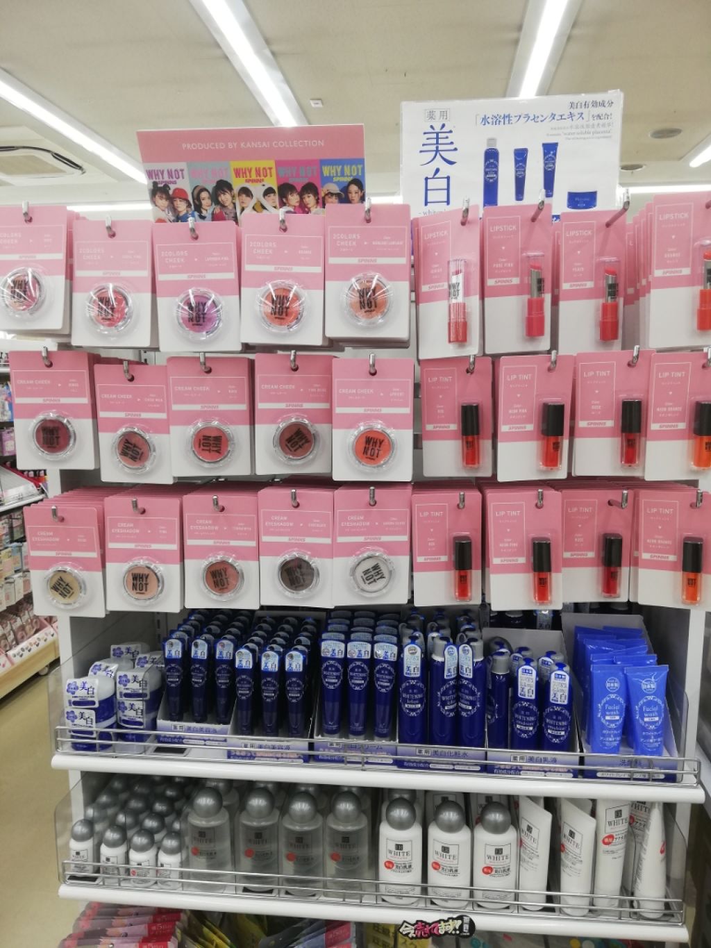 WHY NOT SPINNS リップスティック/DAISO/口紅を使ったクチコミ（2枚目）