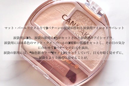 プランぷくコーデアイズ/キャンメイク/パウダーアイシャドウを使ったクチコミ(2枚目)