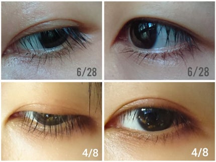 ローヤルゼリー配合 栄養ローション/DAISO/美容液を使ったクチコミ(3枚目)