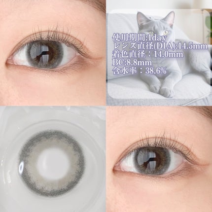 secretcandymagic 1day(シークレットキャンディーマジック)/secret candymagic/ワンデー(1DAY)カラコンを使ったクチコミ(2枚目)