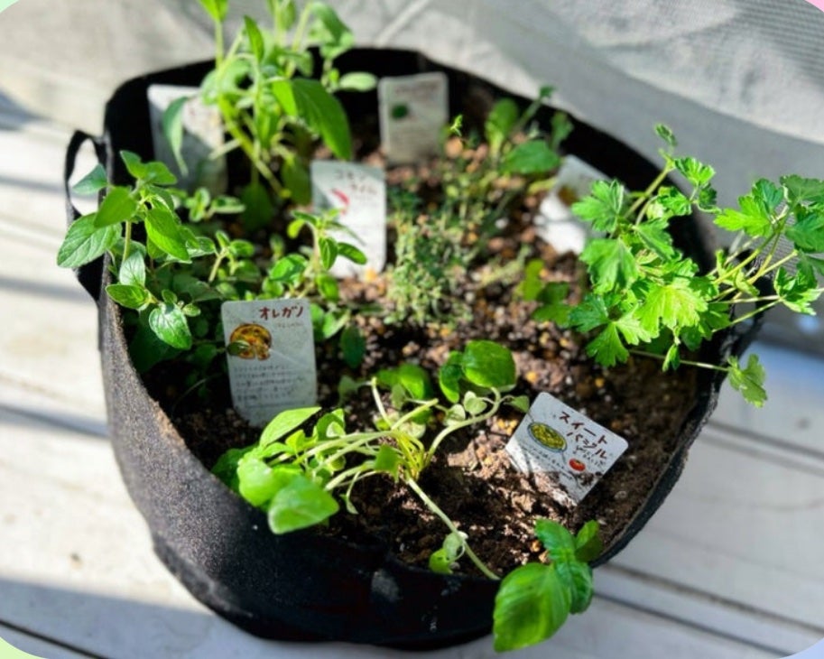 ひふみレイキ💫フォロバ♾️ on LIPS 「#冬に備えるうるおいケアパスタソースを使ってお手軽にグルテンフ..」(3枚目)