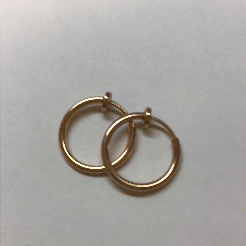 イヤリング/その他を使ったクチコミ（1枚目）