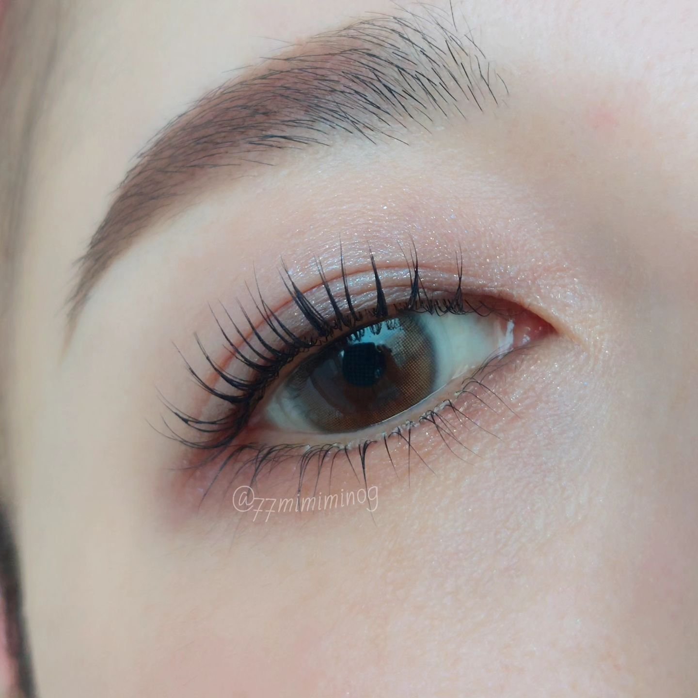 コンスピキュアス アイ＆チークカラーパレット リミテッドコレクション b/Amplitude/アイシャドウパレットを使ったクチコミ（3枚目）