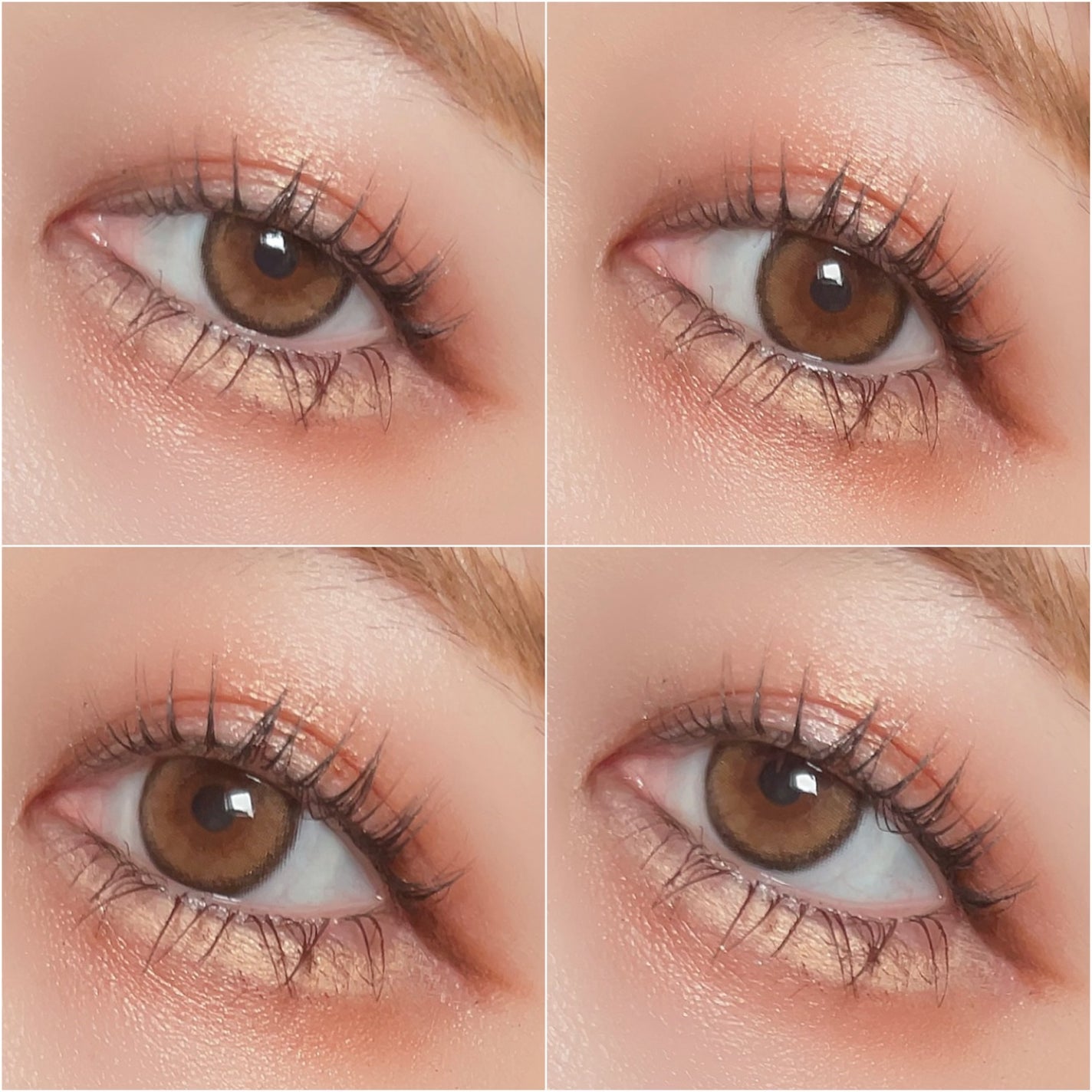 アイカラーレーション/LUNASOL/アイシャドウパレットを使ったクチコミ(5枚目)