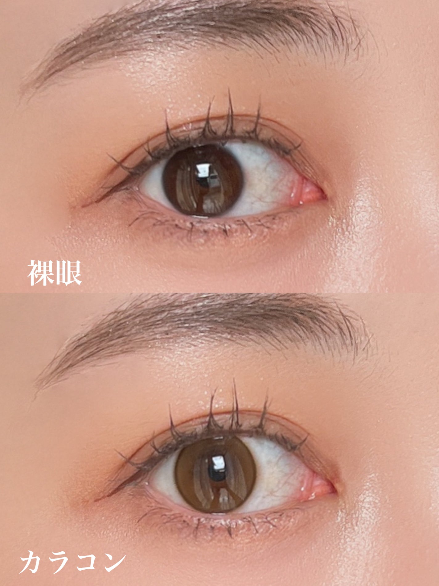ShineTouch 1day/OLENS/ワンデー(1DAY)カラコンを使ったクチコミ(3枚目)