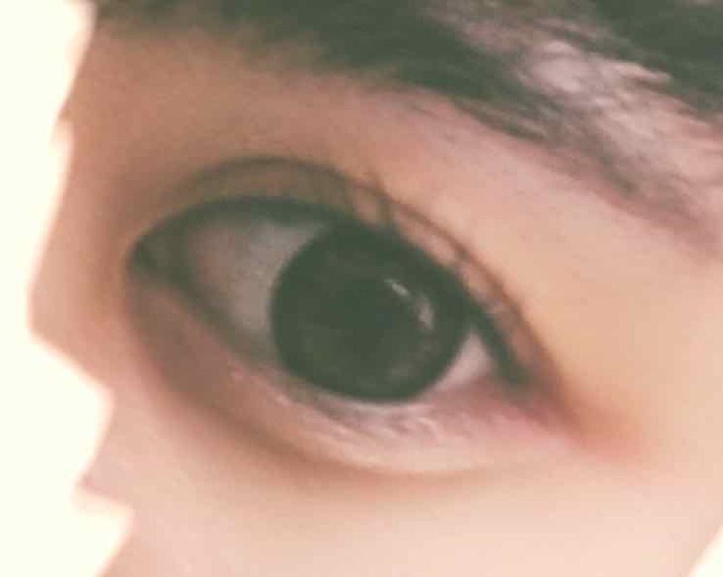 フリーファイバー120 スタンダードタイプ /メザイク/二重まぶた用アイテムを使ったクチコミ（1枚目）