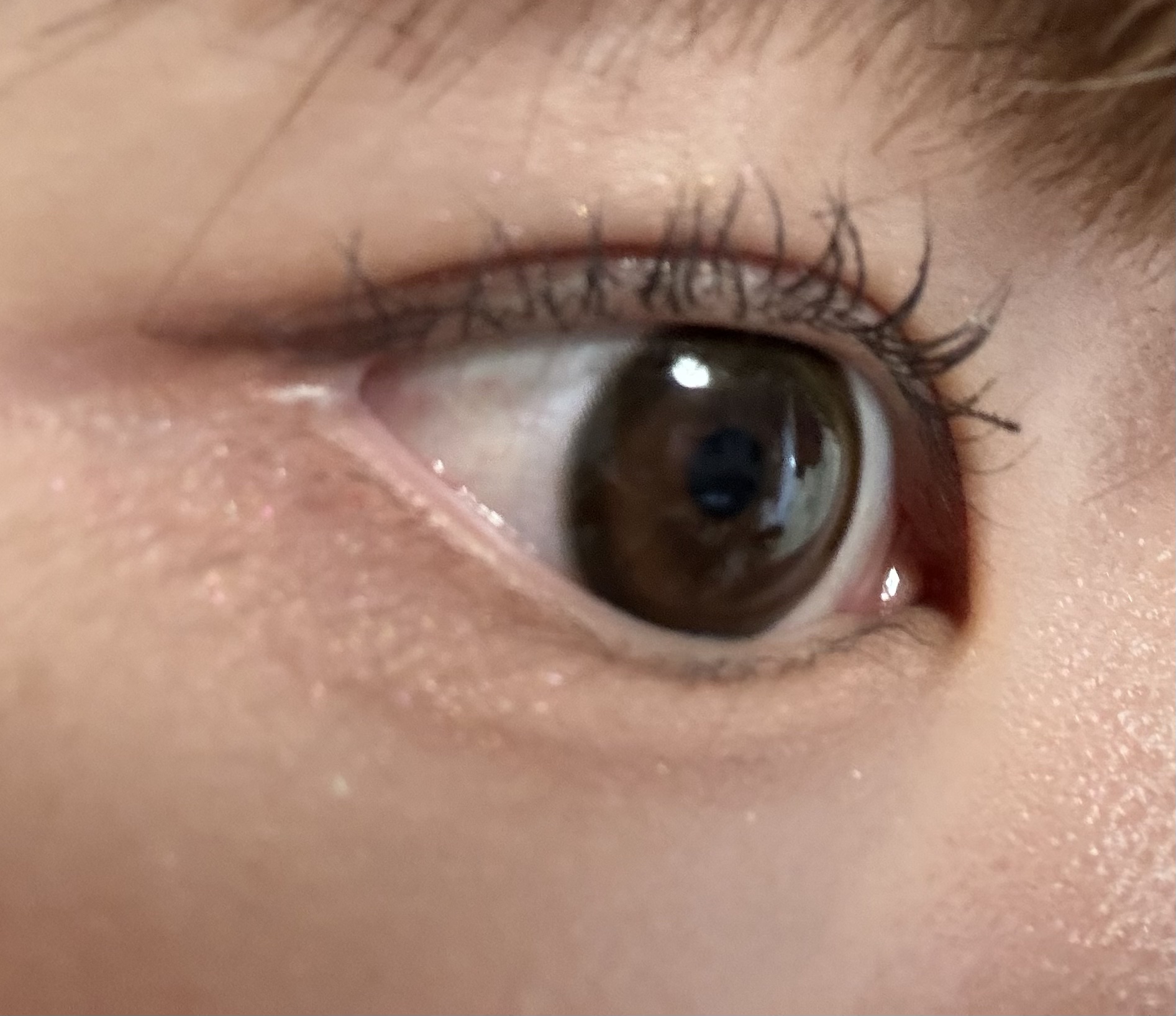 エバーカラーワンデーミリモア じらしてショコラ/エバーカラー/ワンデー（１DAY）カラコンを使ったクチコミ（3枚目）