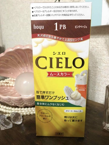 ムースカラー/CIELO/ヘアカラーを使ったクチコミ（1枚目）