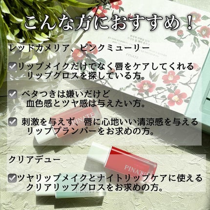 ナチュラルブルームリップオイルセラム 3色セット/PINATE/リップグロスを使ったクチコミ(10枚目)