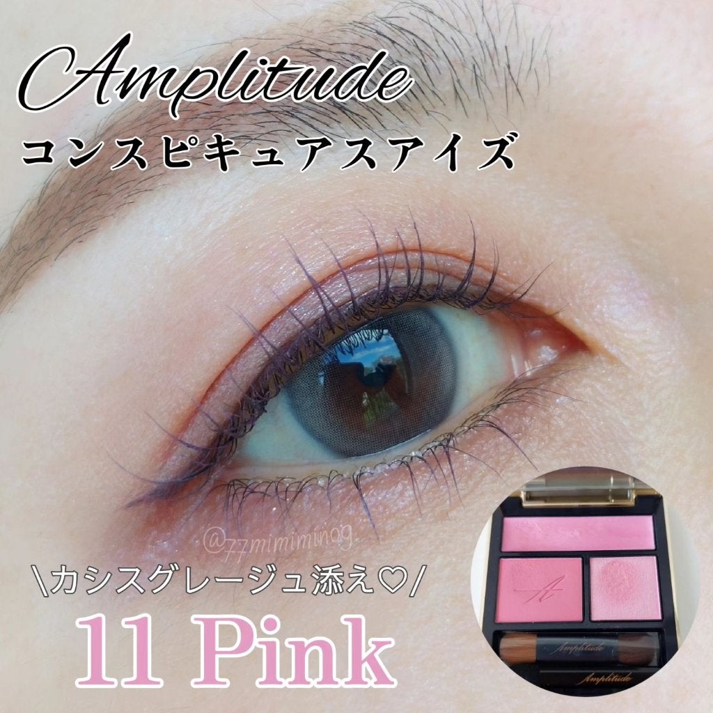 コンスピキュアス アイズ/Amplitude/アイシャドウパレットを使ったクチコミ(1枚目)
