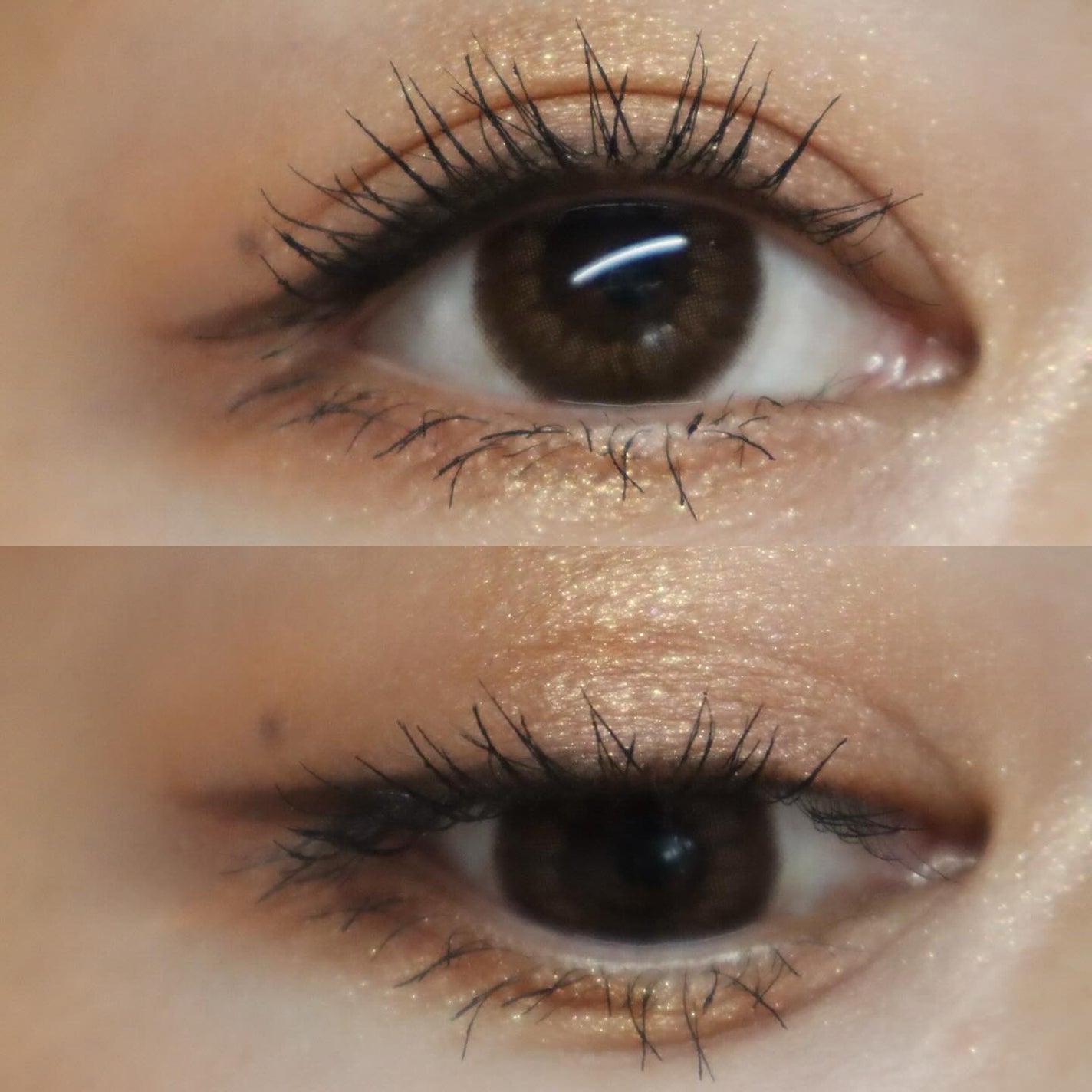 アイカラーレーション/LUNASOL/アイシャドウパレットを使ったクチコミ(7枚目)