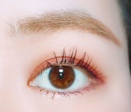 トーンアップアイシャドウ/CEZANNE/アイシャドウパレットを使ったクチコミ(1枚目)