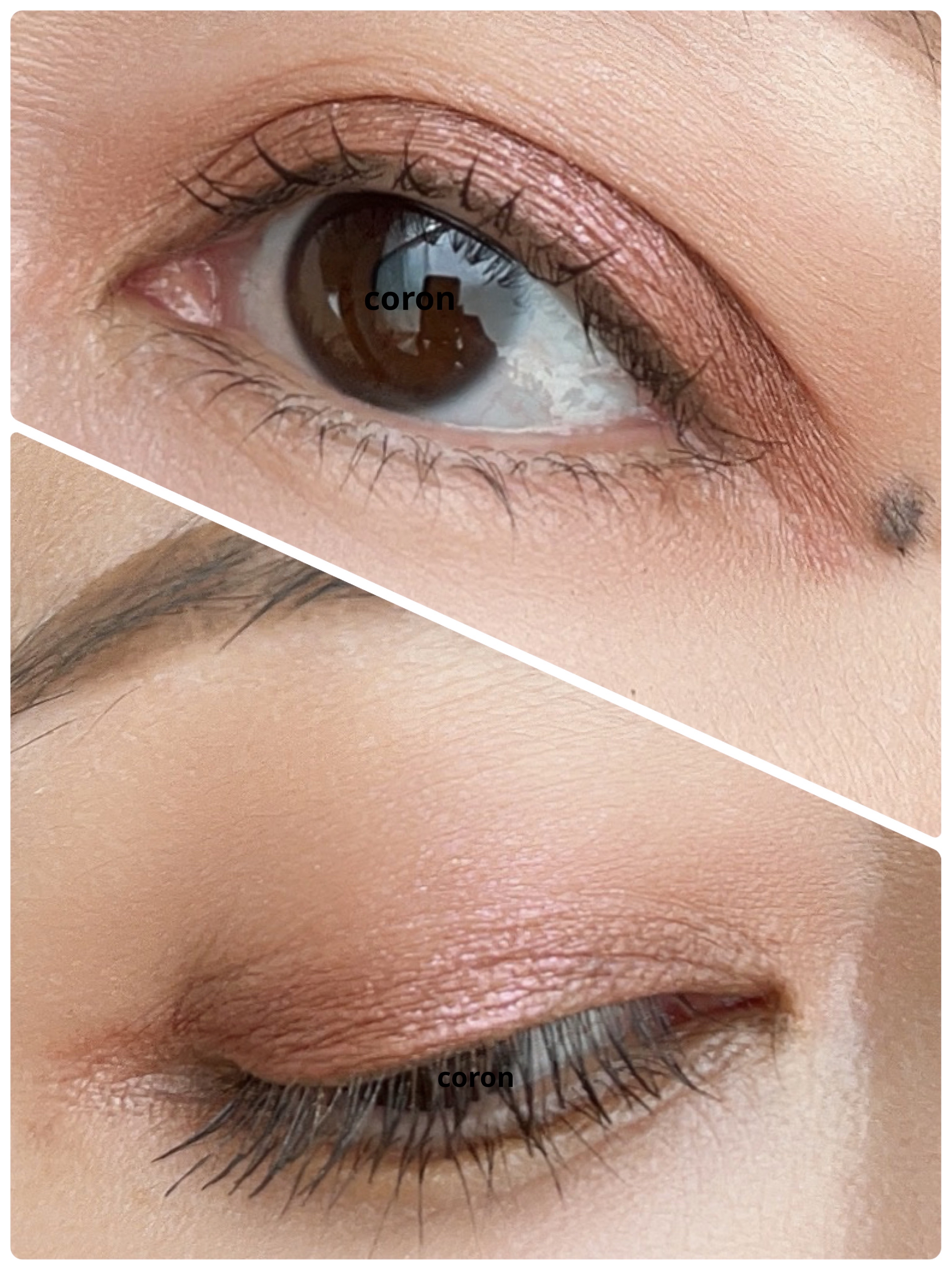 オンブル プルミエール リーブル 408 アカシア/CHANEL/単色アイシャドウを使ったクチコミ（2枚目）