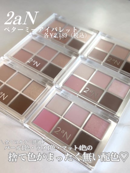 ベターミーアイパレット/2aN/マルチパレットを使ったクチコミ(2枚目)