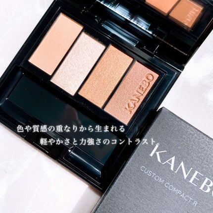 レイヤードカラーズアイシャドウ/KANEBO/アイシャドウパレットを使ったクチコミ(2枚目)