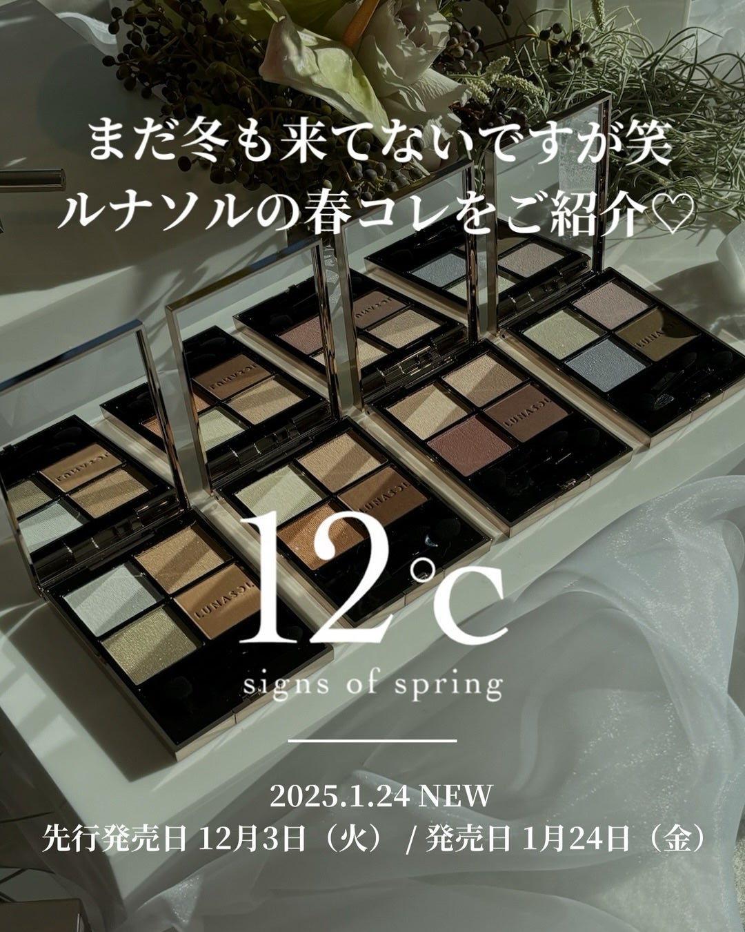 ルナソル アイカラーレーションN/LUNASOL/アイシャドウパレットを使ったクチコミ(2枚目)