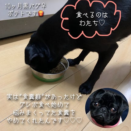 あこ❀cosme on LIPS 「GLEBO-グレボ-ドッグフード1.2kg🐾コスメの口コミサイ..」(5枚目)