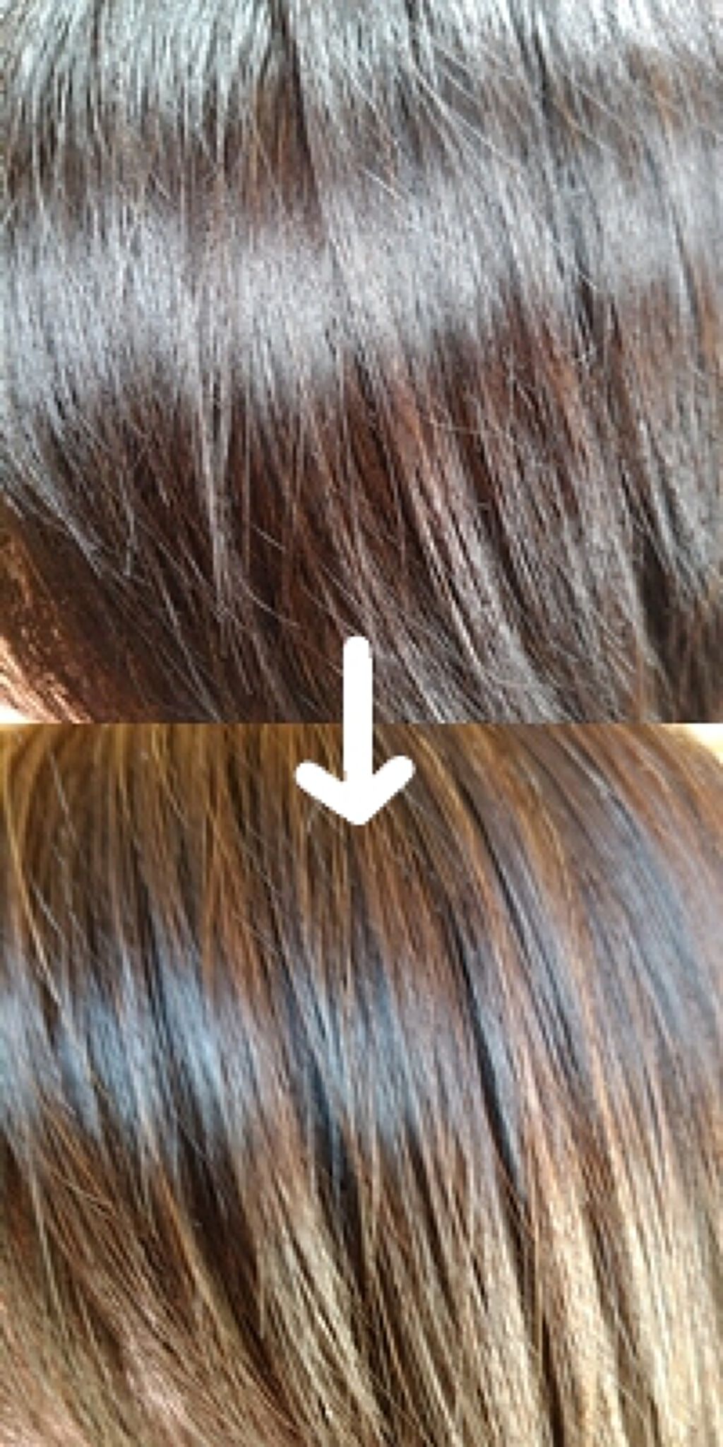 スカルプD ボーテ ナチュラスター スカルプシャンプー／トリートメントパック/アンファー(スカルプD)/シャンプー・コンディショナーを使ったクチコミ（1枚目）