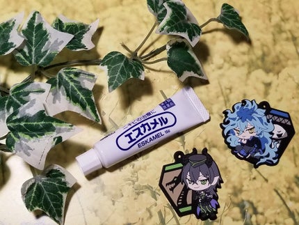 エスカメル(医薬品)/佐藤製薬/その他を使ったクチコミ(1枚目)