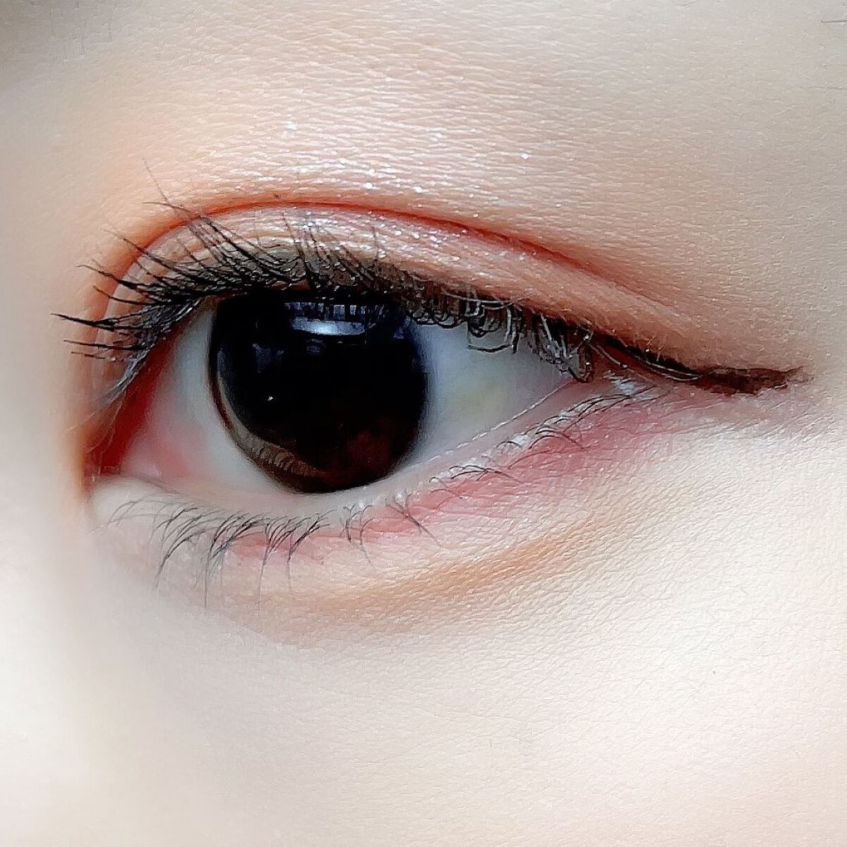 アニマルアイシャドウ(4シェード)/ZEESEA/アイシャドウパレットを使ったクチコミ(9枚目)