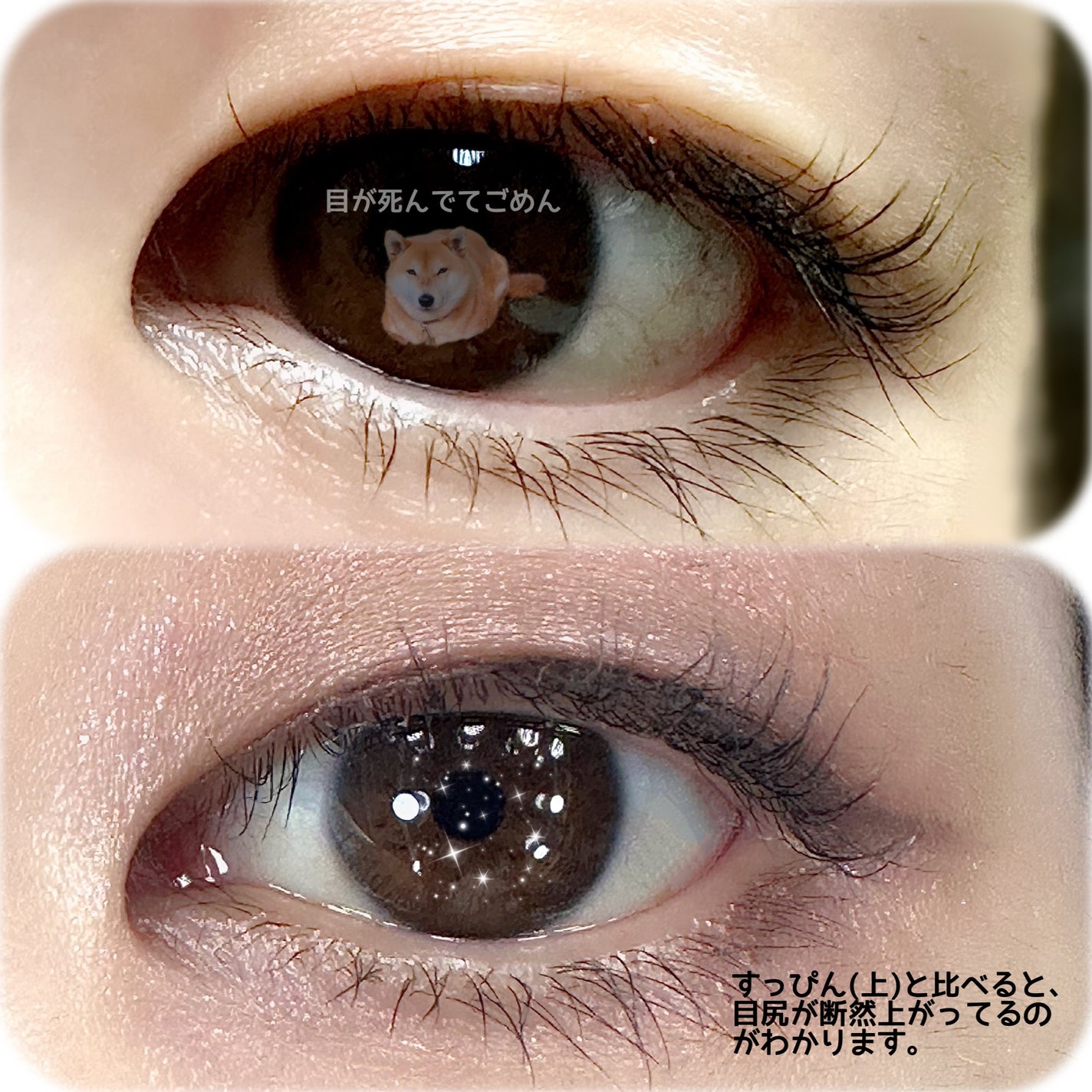 ピメル うそつき下地/pdc/マスカラ下地を使ったクチコミ(4枚目)